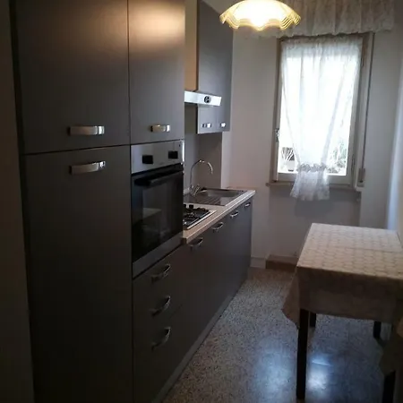 Cerviafrontemare *